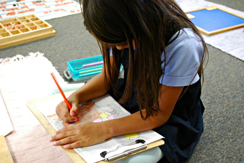 VPK Charter School Curriculum